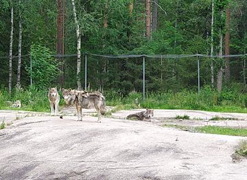 finland/karhunkierros-trail/landmark/ahtari-zoo