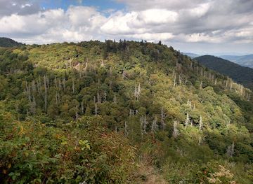 south-carolina/blue-ridge-mountains/landmark/east-fork-overlook