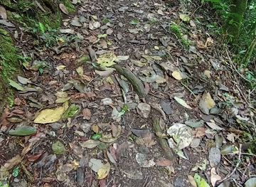 honduras/olancho-region/landmark/centro-de-visitantes-de-refugio-de-vida-silvestre-la-muralla