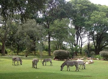 zambia/lusaka-national-park/landmark/the-cross-park