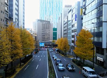 japan/tokyo/landmark/konno-zaka-slope