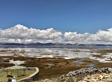 Reserva Nacional de Junín