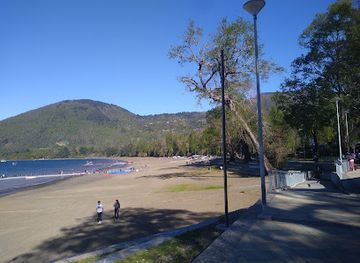 chile/pucon/landmark/trawen