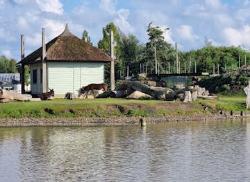 netherlands/drenthe-province/landmark/center-parcs-de-huttenheugte