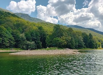 montenegro/lakes-of-plav/landmark/biograd-forest