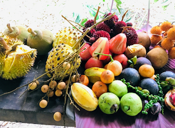 costa-rica/caribbean-coast/landmark/finca-la-isla-permaculture-farm-plant-nursery-and-botanical-garden