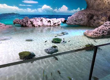 japan/okinawa/landmark/dmm-kariyushi-aquarium