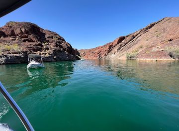 arizona/lake-havasu-city/landmark/rubba-duck-safari