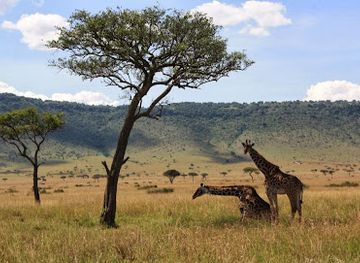 kenya/maasai-mara-national-reserve/landmark/mara-triangle