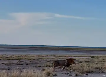 Anderson Gate Etosha National Park (Southern Entrance)