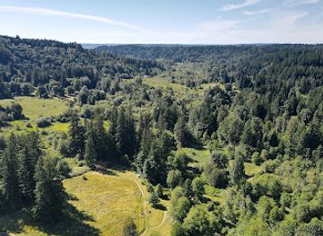 washington/redmond/landmark/evans-creek-preserve