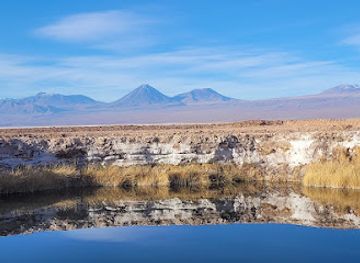 chile/central-valley/landmark/laguna-cejar