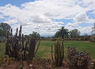 south-africa/highveld/landmark/highgate-ostrich-show-farm