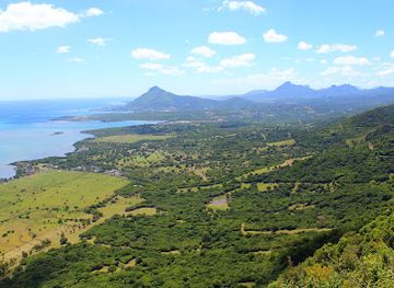 mauritius/chamarel/landmark/ebony-forest-reserve-chamarel
