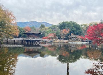japan/nara-countryside/landmark/asajigahara-enchi