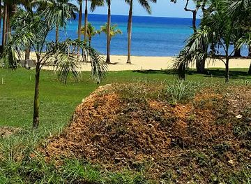 honduras/roatan/landmark/sandy-bay-roatan