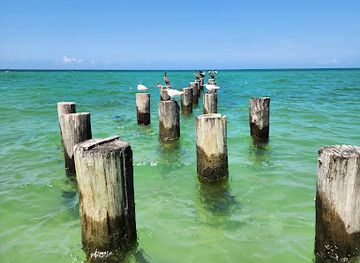 florida/naples-beach/landmark/1st-ave-beach-access