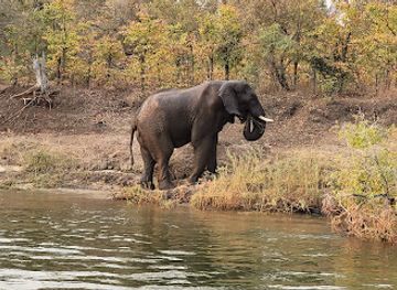 Mosi-oa-Tunya National Park