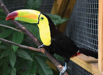 north-carolina/sandhills/landmark/dunrovin-exotic-animal-sanctuary