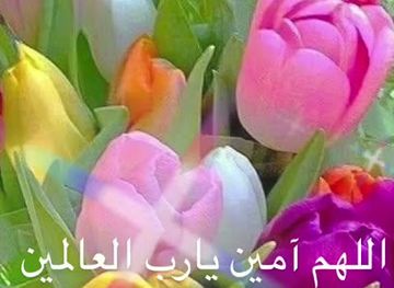 somalia/banaadir/landmark/cinema-mogadishu