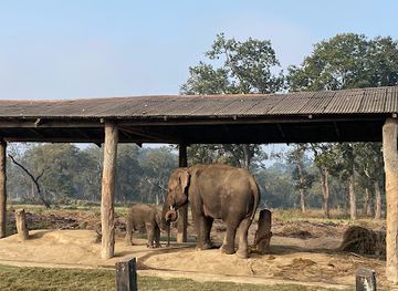 nepal/chitwan-national-park/landmark/elephant-breeding-center