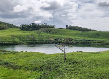 tanzania/southern-highlands/landmark/kitulo-national-park