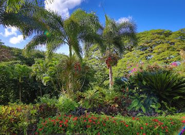 saint-kitts-and-nevis/botanical-gardens-of-nevis/landmark/sky-safari-zipline