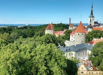 estonia/laane-viru-county/landmark/patkuli-viewing-platform