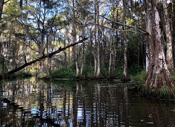 louisiana/honey-island-swamp/landmark/honey-island-swamp-tours