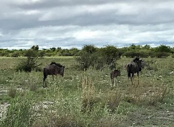 botswana/makgadikgadi-pans-national-park/landmark/sua-pan