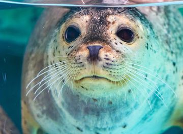france/pays-basque/landmark/biarritz-aquarium