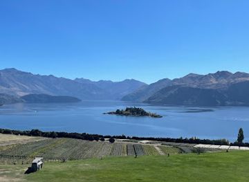 new-zealand/wanaka/landmark/wanaka-wine-tours