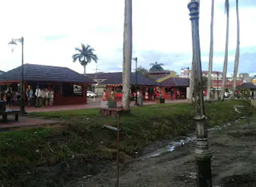 Palmtree Garden