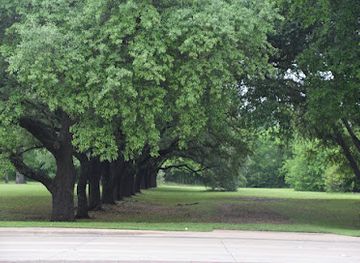 texas/brazos-valley/landmark/andy-anderson-arboretum