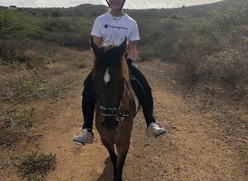 curacao/piscadera/landmark/rancho-alegre-curacao