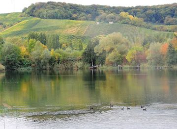 luxembourg/moselle-valley/landmark/haff-reimech