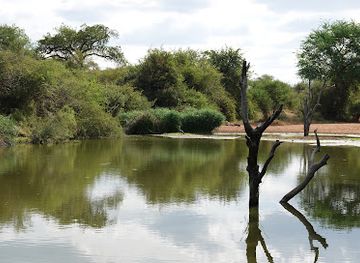 south-africa/lowveld/landmark/hoedspruit-wildlife-estate