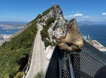 gibraltar/eastern-beach/landmark/gibraltar-cable-car