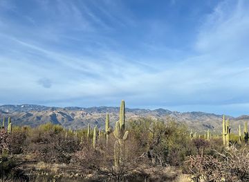 arizona/saguaro-national-park/landmark/saguaro-national-park-sign