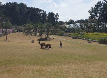 south-korea/jeju-city/aewol/landmark/hwajowon-flower-bird-park