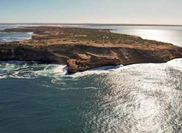 australia/south-australia/landmark/ancient-land-tours