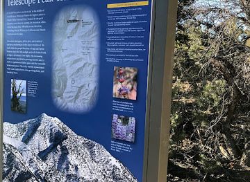 california/death-valley-national-park/landmark/mahogany-flat-campground