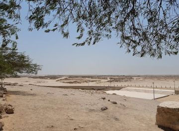 bahrain/bahrain-fort/landmark/tree-of-life