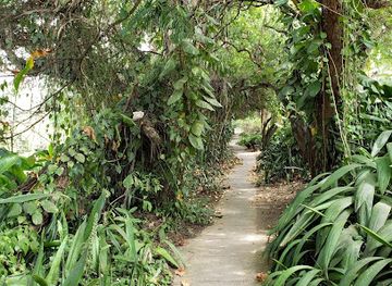 jamaica/john-crow-mountains/landmark/hope-botanical-gardens