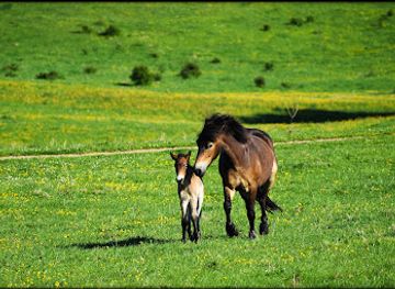 denmark/kalundborg/attraction/maderne-rosnas