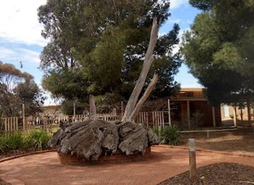 australia/mallee/landmark/the-big-mallee-root-stump