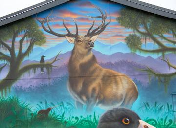 new-zealand/palmerston-north/landmark/swiftmantis-mural-nzda-building