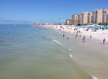 florida/clearwater-beach/landmark/clearwater-marine-aquarium