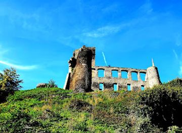germany/palatinate/landmark/metternich-castle
