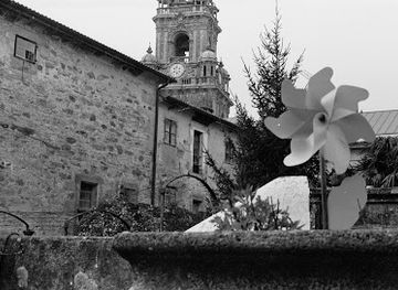 spain/santiago-de-compostela/landmark/casa-das-pomas